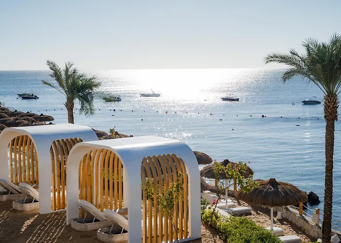 Meraki Sheikh Adults Only Üdülőközpont 5*